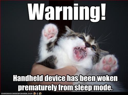 warning!! - hostile kitten! LOL!