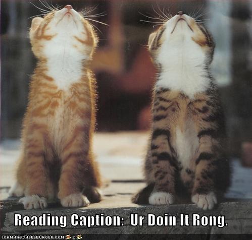 HAHA They're doing it wrong! - Pssst, kittens, the captions are down here!