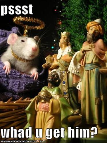 Pssst? - What did you bring him?  Funny rat asks why men what's inside the presents.