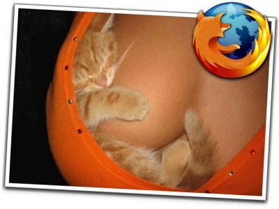 The power of a good logo - I think this little joke made about the firefox logo proves how important a logo really is when designing anything from a building to a web site. The logo is the first thing you see and if it is atractive enough and well related to the brand name it ensures its success.