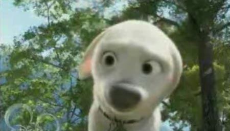 bolt - bolt, cute dog
