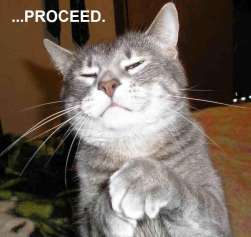 villain cat - villain mastermind cat