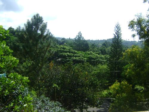 Tagaytay - Shot taken from Canyon Woods, Tagaytay, Philippines.