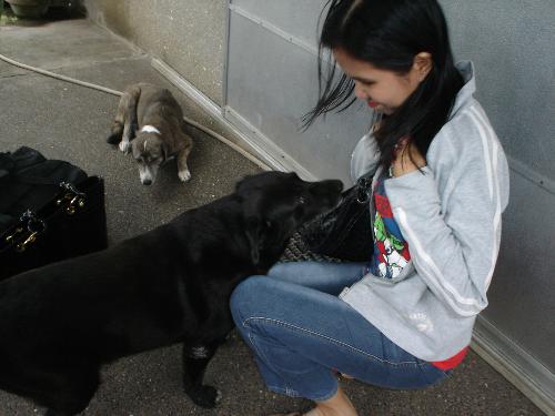 with my dog... - I miss him.