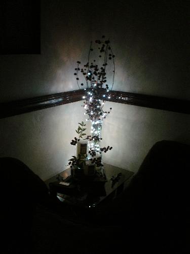 Christmas tree - taken Dec 2008