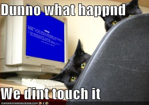 Blue Screen of Death - Kitties deny having anything to do with your computer getting the BSOD. LOL!