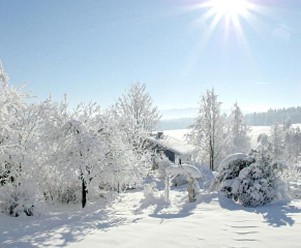 White Christmas. - Beautiful.....