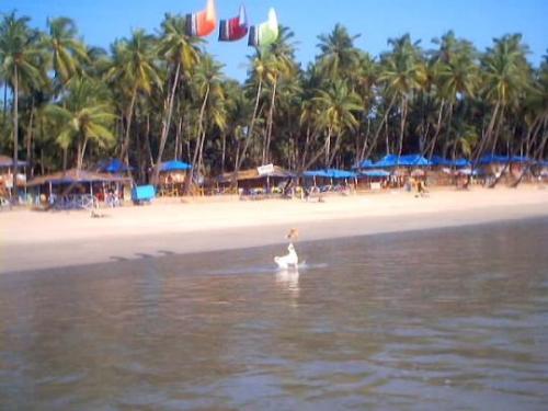 Goa  - Goa In India