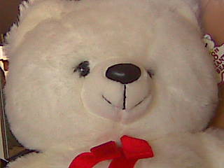 snowflake - cuddly