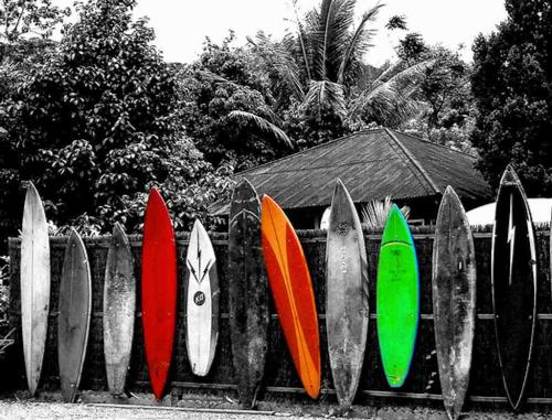 enjoy surf - Enjoy surfing and the sea