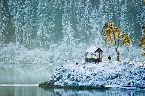 Beauti white Christmas - White Christmas