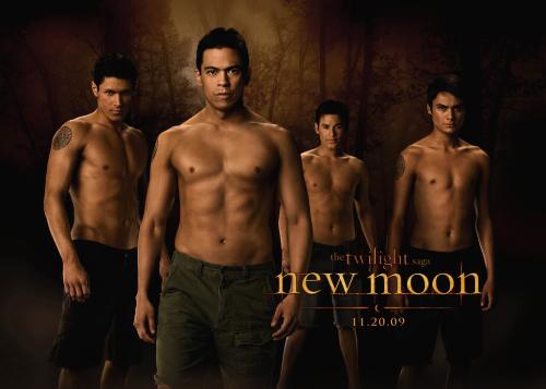 new moon wolves - the wolfpack of New moon