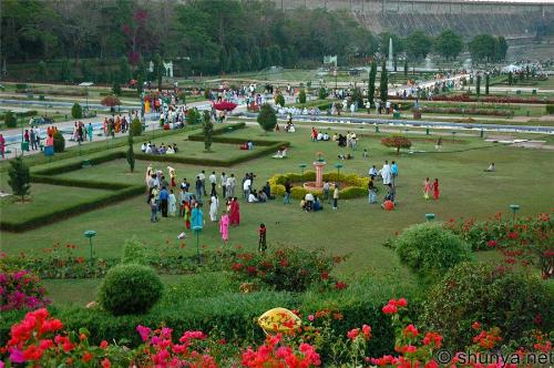 Brindavan Garden - This Garden is famous for it's mainteneance and greenery throughout the year. It is in Mysore India, a International tourist place. WE last visited in Sep-08. and enjoying with grand-children.They were very happy.