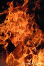 Bushfires - Planning to deal with a bushfire.