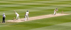 Cricket - Playing a match of cricket