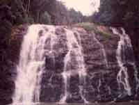 Abbey Falls - Abbey fals in karnataka