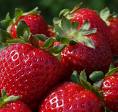 Strawberries - I simply love strawberries, don't you? They are indeed healthy fruits!