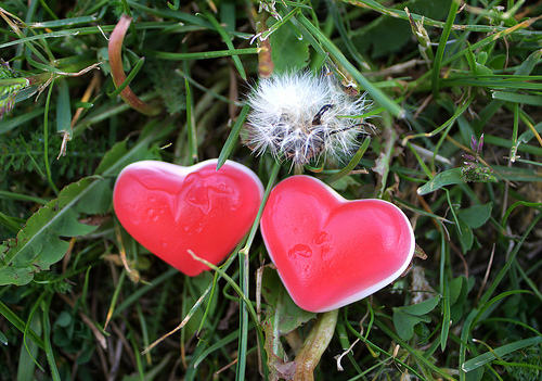 Love Moves In Mysterious Ways - Does love really moves in mysterious ways. It is a mystery how two people find each other in the world that's full of strangers and having a heart that beat as one.