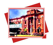 Museum - Government Museum, Karnataka