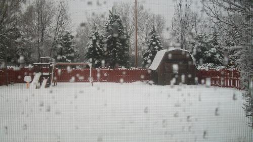 My Back Yard Covered in Snow - My back yard covered in snow. It snowed heavily last night and has been snowing nearly all day today.