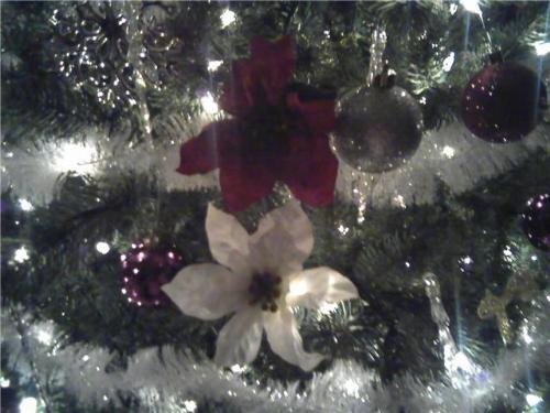 tree - christmas tree