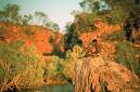 Arnham Land - Arnham Land is in the Northern Territory.