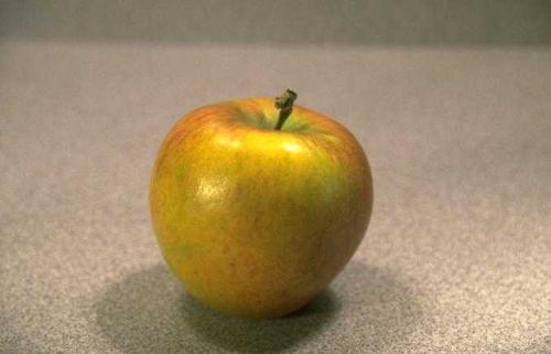 apple - i like eating apple