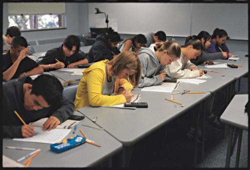 exam - people giving exams