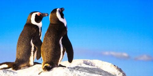enjoy it - enjoy life! Animals already enjoy it