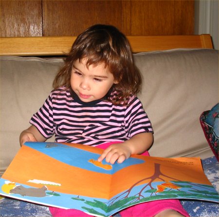 Girl Reading a Book - A young girl reading a kid's book.