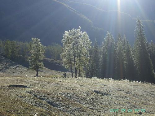 SunShine - Everyone could be cheer up within the confortable SunShine.