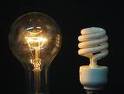 different types of bulbs - bulbs images