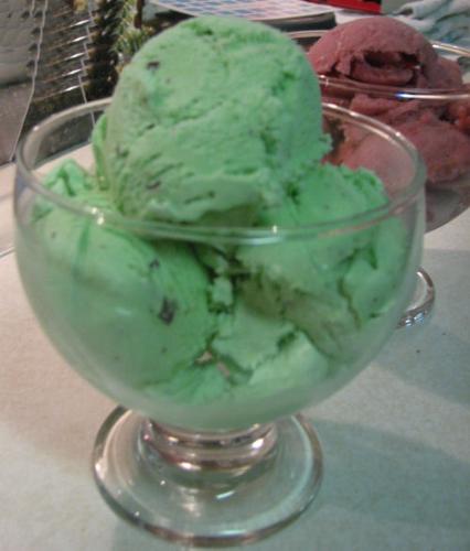 Mint Chocolate Chip Ice Cream - Scoops of mint chocolate chip ice cream.