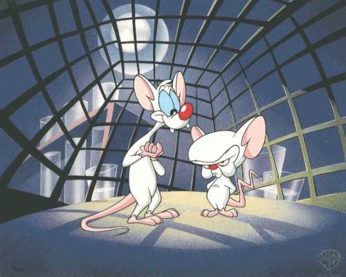 mice - Pinky and The Brain, cartoon lab mice