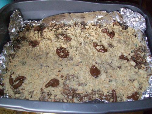 Kitty Litter Cake - This was a cake that I made for Halloween. It looks really gross, but it was really good. It was really rich though. It contained two cake mixes, pudding mix, cookies, and, of course, tootsie rolls.