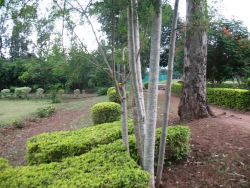 garden in Araku vally - Garden in Araku vally