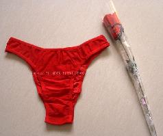 rose underwear - Really a fanny X'mas gift for boyfriend, haha
