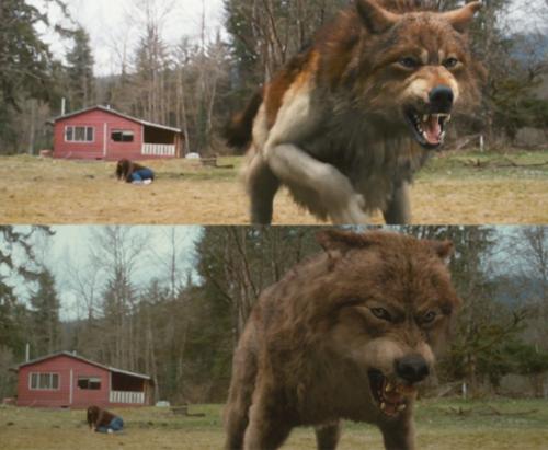 Jacob: 'Twilight-New Moon' - Jacob's transformation into a Lycan [werewolf]to protect Bella from his lycan pack brotha in the movie.