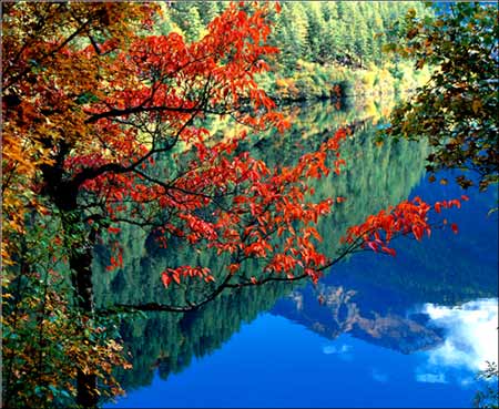 Jiuzhaigou2 - China Attraction.Beautiful natural scenery.
