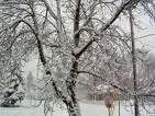 Snow is so pretty. - Snow is so pretty.