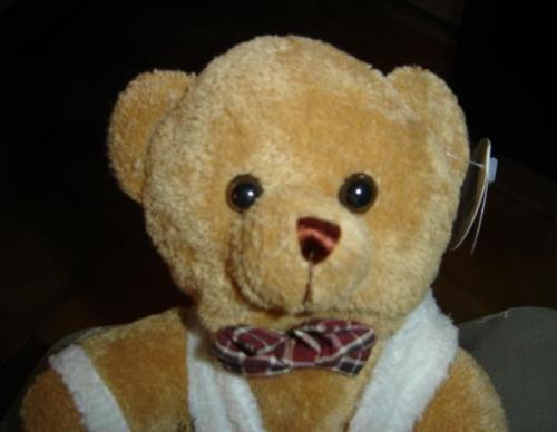 My Teddy Bear - Teddy Bear!