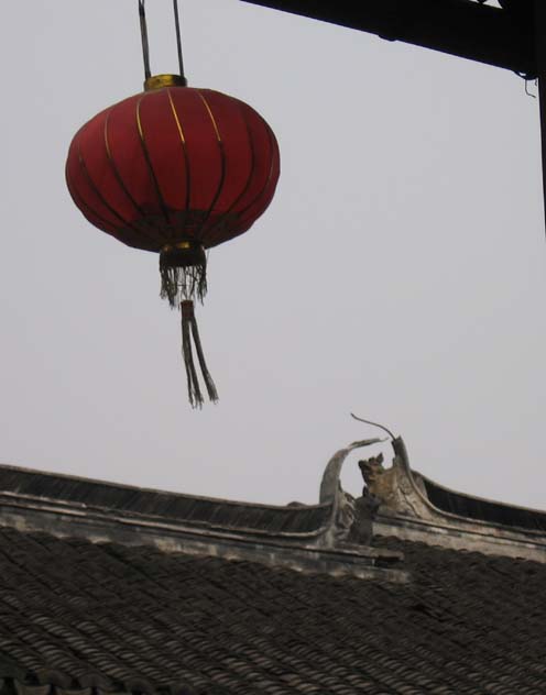 Lantern - This Chinese lantern and rooftop sculpture made a nice view out the window while I was having lunch in China.
