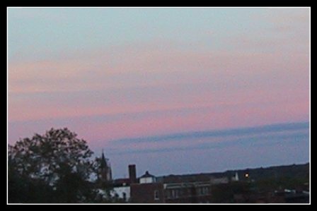 pastel sunset - beautiful sunset with outline of tree in the distance. took this whilst on a trip to florida.