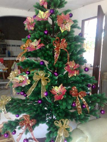 christmas tree - the symbol of christmas