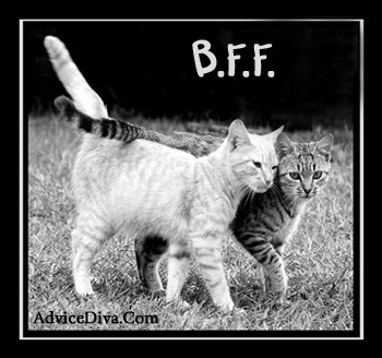 Relationship - Made for each other