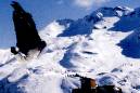 Snow is so pretty. - Snow is so pretty.