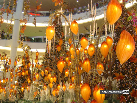 Unusual - An unusual Christmas decoration