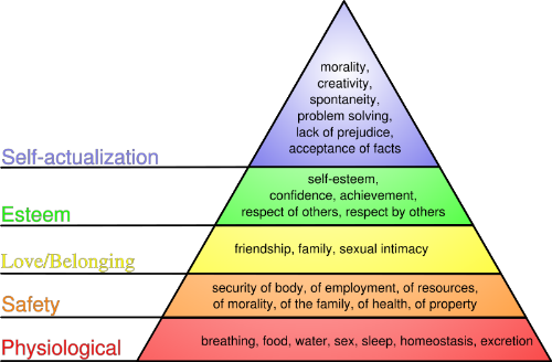 basic needs - a chart of the basic needs of a person in life