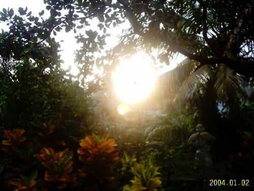 Sunrise - This is the view I get to see from my terrace early in the morning.