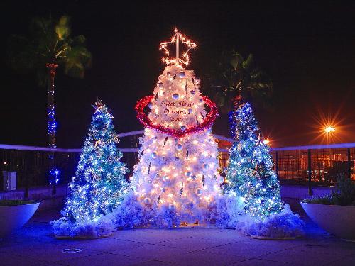Trees - Luminous Christmas tree
